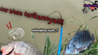 Mancing ikan nila di air keruh Babonnya pada keluar [] tarikan nya luar biasa!!!