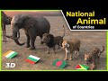 national animal of the world | National animal | Data world studio | world data