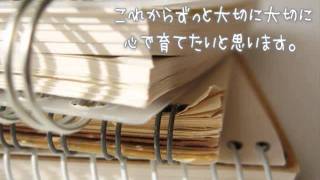 流産後の心を癒す～勇気のことば～