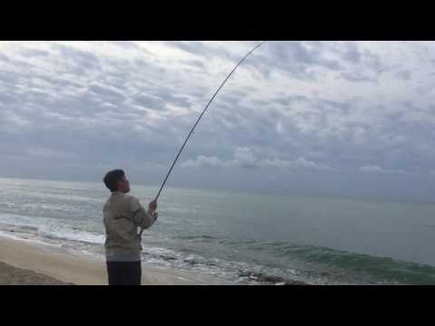 Hawaii fishing for Papio and Hinalea Hawaii fishing for Papio and Hinalea