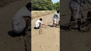 சொந்தம் உள்ள வாழ்க்கை#shortvideo#shortsfeed