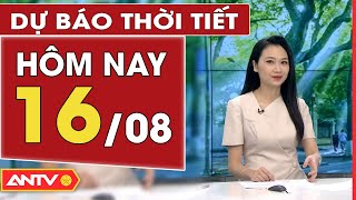 Dự báo thời tiết ngày 16/8: Hà Nội và TP. HCM ngày nắng, chiều tối vài nơi có mưa | ANTV