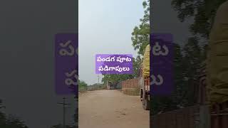 పండగ పూట పడి కాపులు