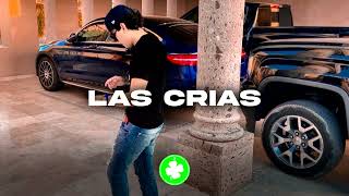 Las Crias - Corridos Belicos Music (Corridos 2023)