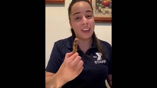 YMCA Virtual Preschool - Ants On A Log with Ms Nataly