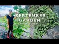 September Garden Tour | Florida garden Zone 9b | The Homestead Nurse