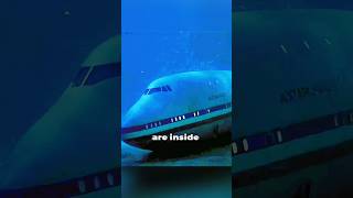 This plane with passengers sank into the ocean😱 #shorts #viral #movies #cinemare