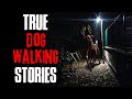 4 True Scary Dog Walking Horror Stories