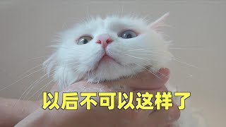 猫咪上厕所沾了一身粑粑满屋跑！往床上跳的那刻主人崩溃了！