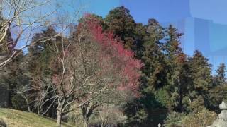 正光寺「智恵の文殊大祭」