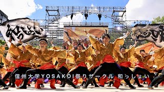 信州大学YOSAKOI祭りサークル 和っしょい が信濃の国と一緒に帰って来た。 2023 #どまつり#yosakoi