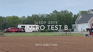 USDF INTRODUCTORY TEST B 2019 DRESSAGE: HOW TO RIDE