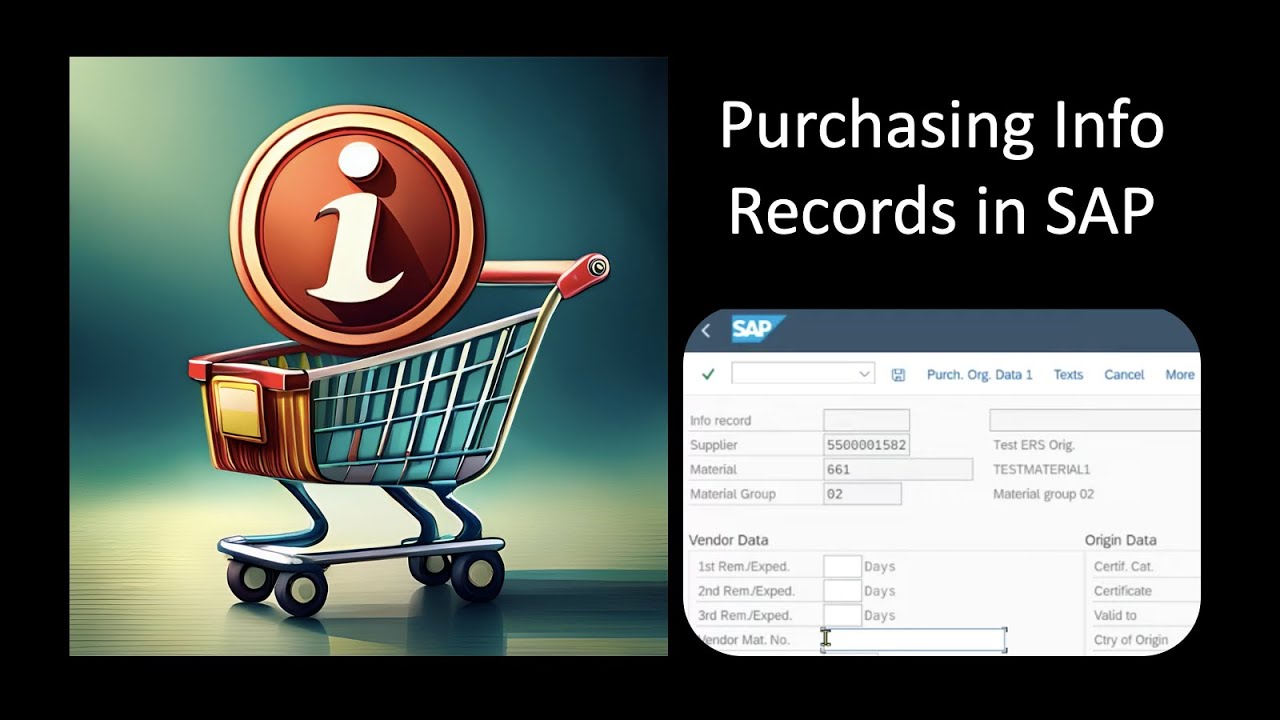 How To Create A PURCHASING INFO RECORD In SAP ECC And S/4HANA - YouTube