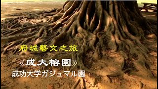 《成大榕園｜国立成功大学ガジュマル園》_【府城藝文散步】系列1 _ 中字日語｜中国語付き日本語バージョン 動画紹介