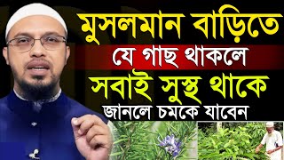 মুসলমান বাড়িতে এই গাছ থাকলে বাড়ির সবাই সুস্থ থাকে=শায়খ আহমাদুল্লাহ,Sheikh Ahmadullah=13/01/24 #waz