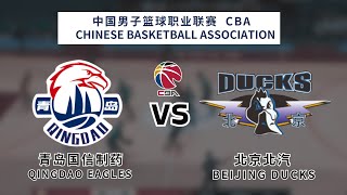 CBA|CBA LIVE|CBA直播|青岛 vs 北京 首钢|Qingdao Guoxin Haitian Eagle vs Beijing Ducks|Mksports|m电竞|농구|Bóng rổ