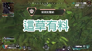 【Apex】暴風點這草有料，連尋血犬也找不到的苟點！