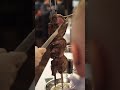 17 Delicious Grilled Options at Brasão Brazilian Steakhouse: An Authentic Churrasco BBQ Experience