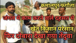 new Video Fagota Kamalpur ka Tenduaa kamalpur ke jungle mein nikala tenduaa Bhatte nikala tenduaa