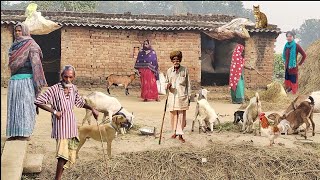 Village life in Indian Uttar Pradesh | Life of farmers in India | Indian Real Village