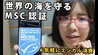 世界の海を守る「海のエコラベル」MSC認証のお魚を選ぼう！ #気軽にエシカル消費