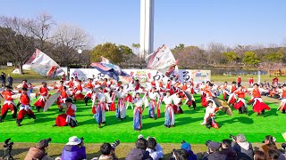 [4K] 彩ノ京 -ハナノミヤコ-　堺よさこいかえる祭り 2024 大仙公園会場