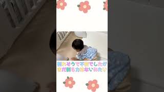 祝１歳！風船で大興奮する楓ちゃんが可愛すぎる#shorts #baby #誕生日