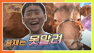 [다시보는 고향극장] 동에 번쩍 서에 번쩍 마을을 휘젓는 그놈! 사고뭉치 용재는 못말려~  KBS 130606 방송