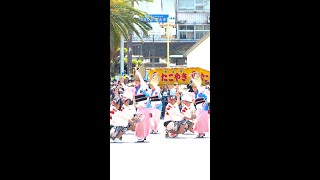 【阿波踊り】心地いい三味線の音に合わせて優雅に舞う！指先まで美しい天水連・女踊り