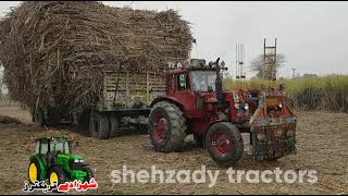 Powerful Belarus Tractor Sugarcane Load Trailer | Belarus 510.1 Tractor Sugarcane OverLoad Trailer