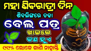 ଜାଗର ଦିନ ଶିବ ଲିଙ୍ଗରେ ଚଢା ବେଲପତ୍ର ଖାଇଲେ କଣ ହୋଇଥାଏ | Benefits of Eating Shiv Linga's Bela Patra