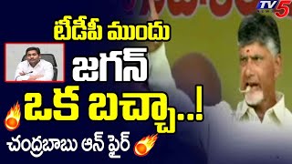 టీడీపీ ముందు జగన్ ఒక బచ్చా..!Chandrababu Naidu Strong Warning To YCP | TV5 News