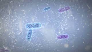 Bacterial Indicator Explainer video