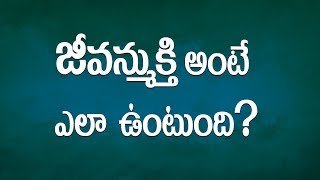 జీవన్ముక్తి అంటే ఎలా ఉంటుంది ? || Lesson -127