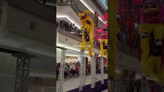 Pre-CNY 2025 - Acrobatic Southern \u0026 Northern #LionDance by 龙狮情义 at The Gardens Mall