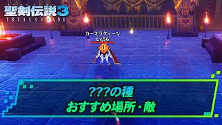 【聖剣3リメイク】？？？の種集め おすすめの場所・敵 | 聖剣伝説3リメイク攻略