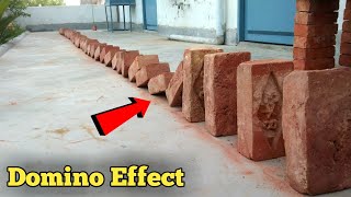 50-Bricks Domino Effect 😲 | कितनी कमाल की चीज है!