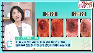 여름만 되면 뱃속이 부글부글~ 급성 장염의 계절 ‘여름’, 장 벽의 비밀 알아보기 [무엇이든 물어보세요] | KBS 230704 방송