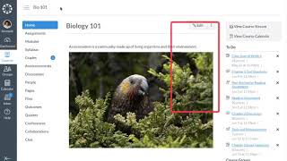 How to Navigate Canvas Basic Intro