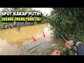 SPOT KAKAP PUTIH JARANG ORANG YANG TAU