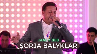 Caryar Orazdurdyyew - Sorja Balyklar | Turkmen aydymlary 2023 | Janly Sesim