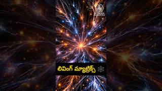 🔮 జీవితంలో అదృశ్యమైన మాయాజాలం 🕸️ | మీరు ఈ బ్రహ్మాండ నెట్‌వర్క్‌లో భాగమా? 🌟