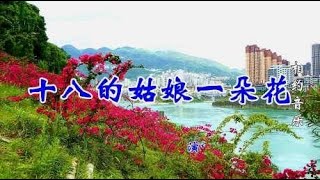 韩宝仪一首《十八姑娘一朵花》经典老歌，甜美动听，勾起了回忆！