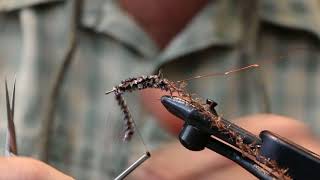 Cased Caddis Fly tying Pattern