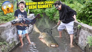 AKHIRNYA BERBURU IKAN CHANA BESAR DI KALI YANG VIRAL!!! DAPET BANYAK, TANGKEP SEMUA SAMPAI KOSONG!!!