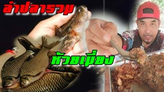 นอนตกปลาล่าแต้มรวมอ่างห้วยเมี่ยงEP.1[รอกลั่น คันโก่ง]