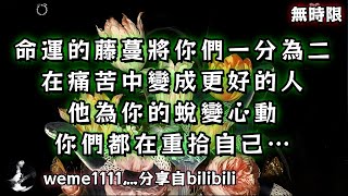 ❰ 宇宙傳訊 ❱ 命運的藤蔓將你們一分為二，在痛苦中變成更好的人，他為你的蛻變心動，你們都在重拾自己…（無時限）