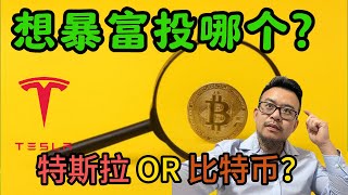 比特币还是特斯拉？想要财富自由选哪个？韩国资金偷袭比特币！