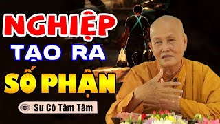 Nghiệp Tạo Ra Số Phận - Sư cô Tâm Tâm