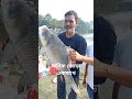 দুই ভাই মিলে একটি বিগ কাতোল শিকার করলো big khatla fishing